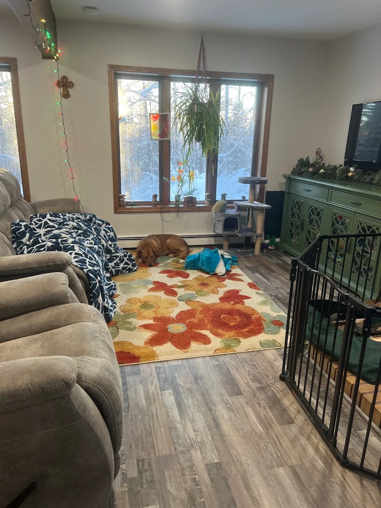A bright Alaska living room cleaned by HD Clean