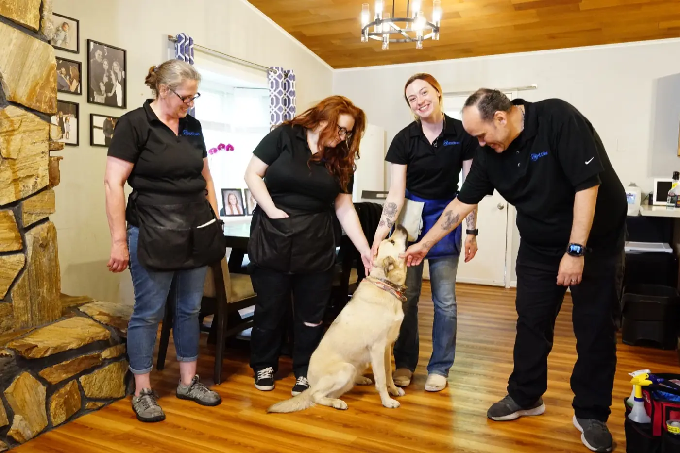 Pet-safe, family-safe
